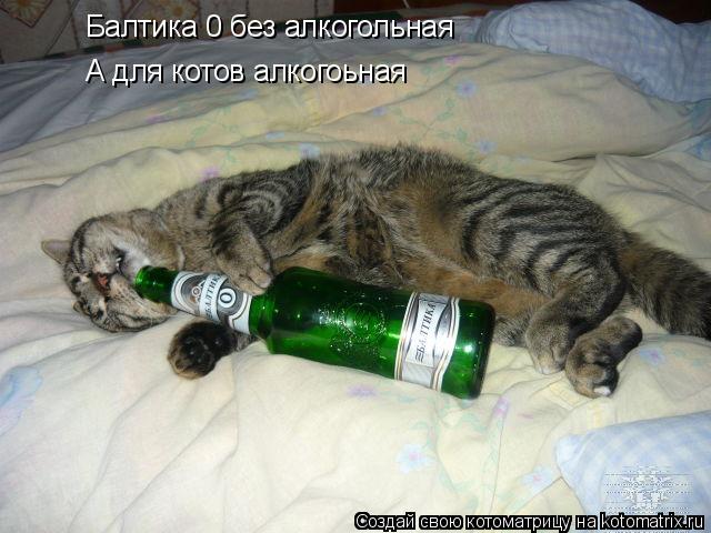 Котоматрица: Балтика 0 без алкогольная А для котов алкогоьная
