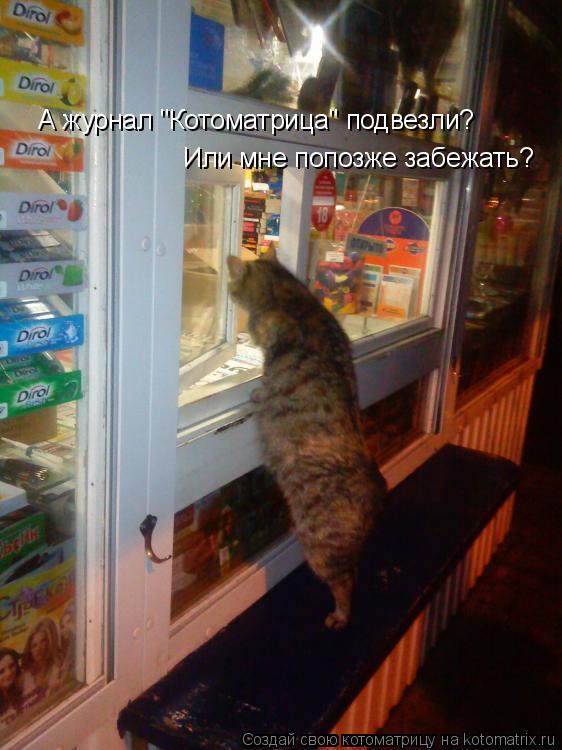 Котоматрица: А журнал "Котоматрица" подвезли?  Или мне попозже забежать?