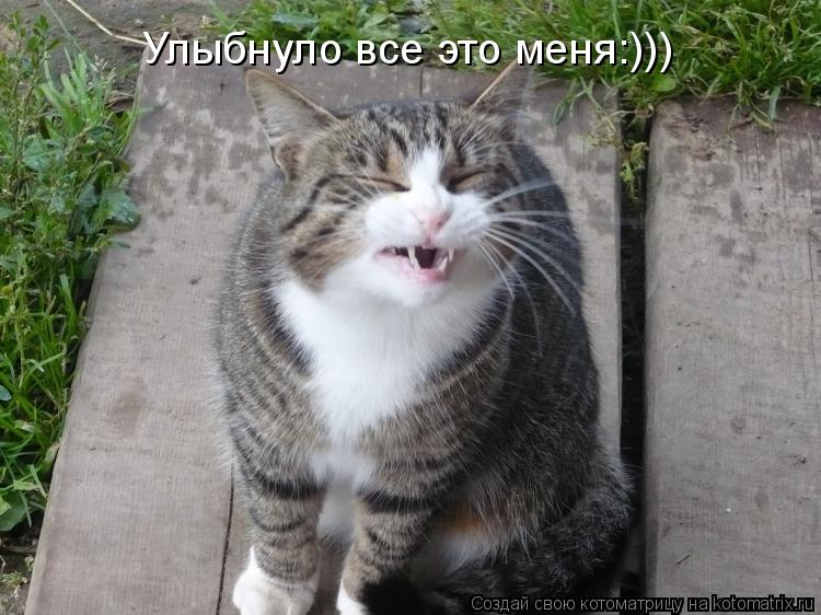 Котоматрица: Улыбнуло все это меня:)))