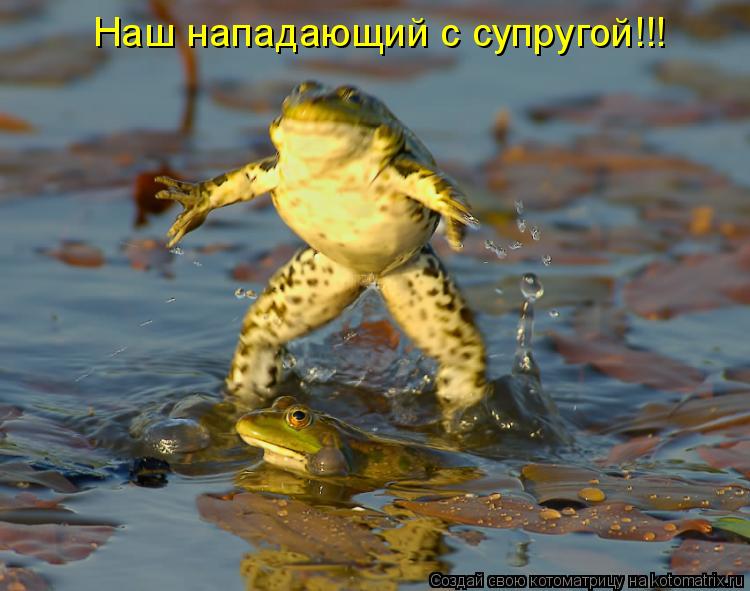 Котоматрица: Наш нападающий с супругой!!!