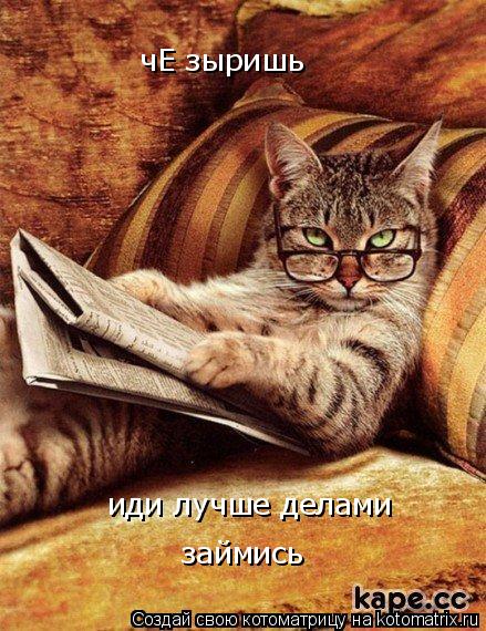 Котоматрица: чЕ зыришь                           иди лучше делами                 займись