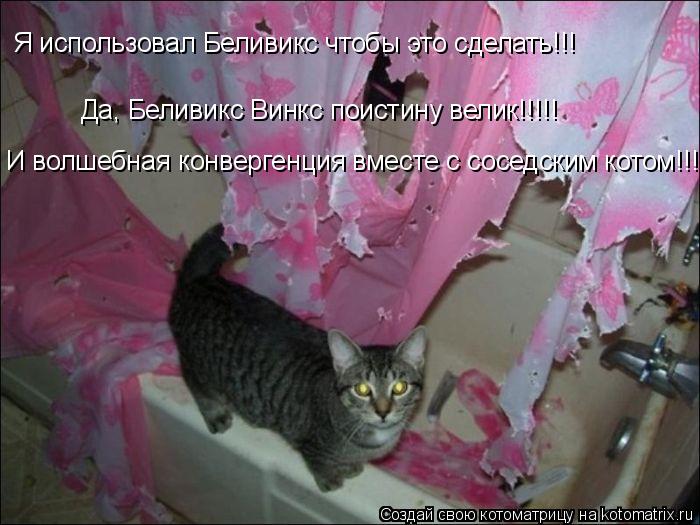 Котоматрица: Я использовал Беливикс чтобы это сделать!!! Да, Беливикс Винкс поистину велик!!!!! И волшебная конвергенция вместе с соседским котом!!!