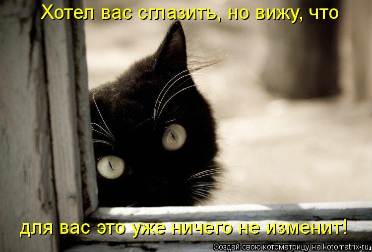 Котоматрица: Хотел вас сглазить, но вижу, что для вас это уже ничего не изменит!