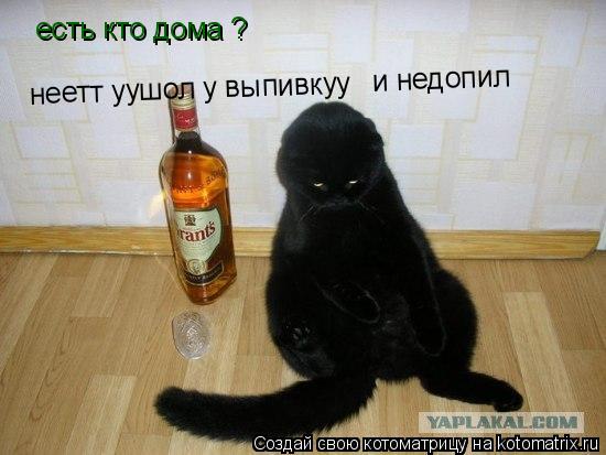 Котоматрица: есть кто дома ? неетт уушол у выпивкуу и недопил