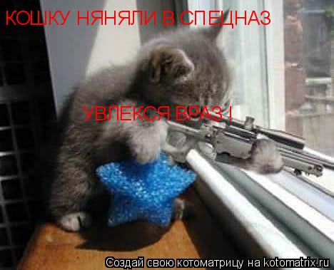 Котоматрица: КОШКУ НЯНЯЛИ В СПЕЦНАЗ УВЛЕКСЯ ВРАЗ !
