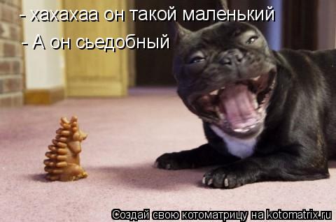 Котоматрица: - А он сьедобный - хахахаа он такой маленький