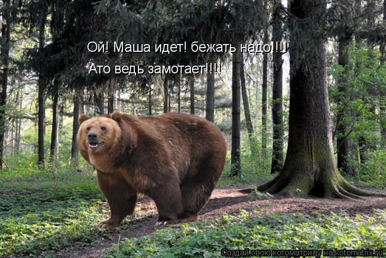 Котоматрица: Ой! Маша идет! бежать надо!!!! Ато ведь замотает!!!!