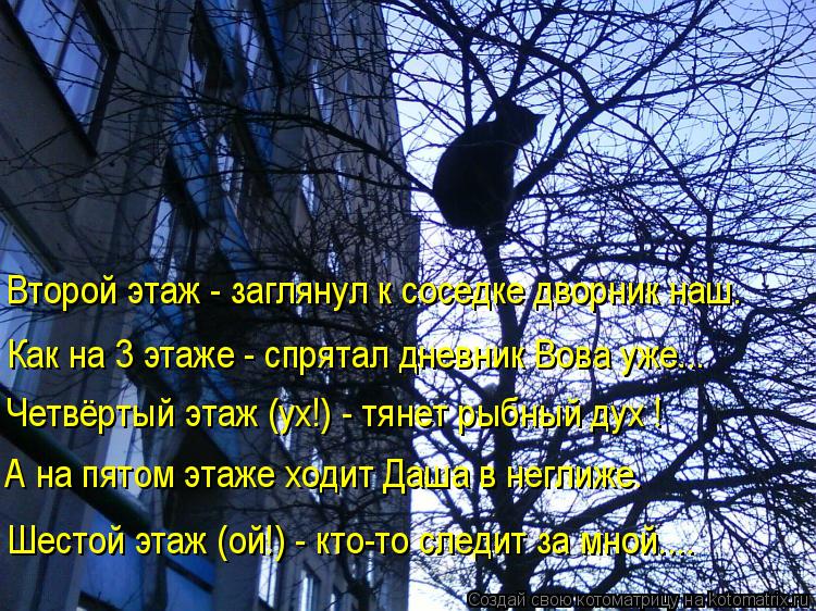 Котоматрица: Второй этаж - заглянул к соседке дворник наш. Как на 3 этаже - спрятал дневник Вова уже... Четвёртый этаж (ух!) - тянет рыбный дух ! А на пятом эта