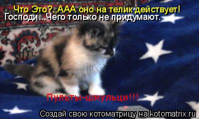 Котоматрица: Что Это?..ААА оно на телик действует! Господи...Чего только не придумают. Пульты-шмульци!!!