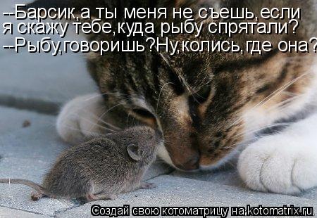 Котоматрица: --Барсик,а ты меня не съешь,если я скажу тебе,куда рыбу спрятали? --Рыбу,говоришь?Ну,колись,где она?