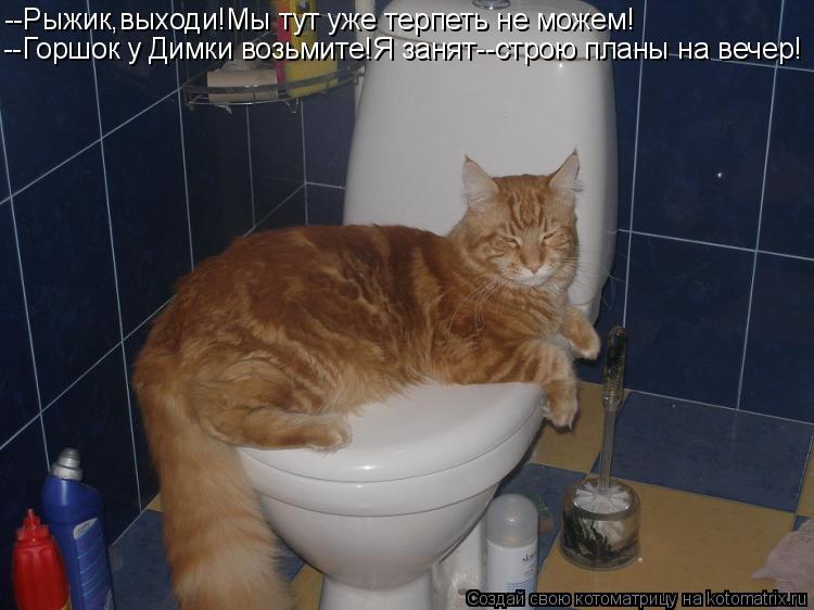Котоматрица: --Рыжик,выходи!Мы тут уже терпеть не можем! --Горшок у Димки возьмите!Я занят--строю планы на вечер!