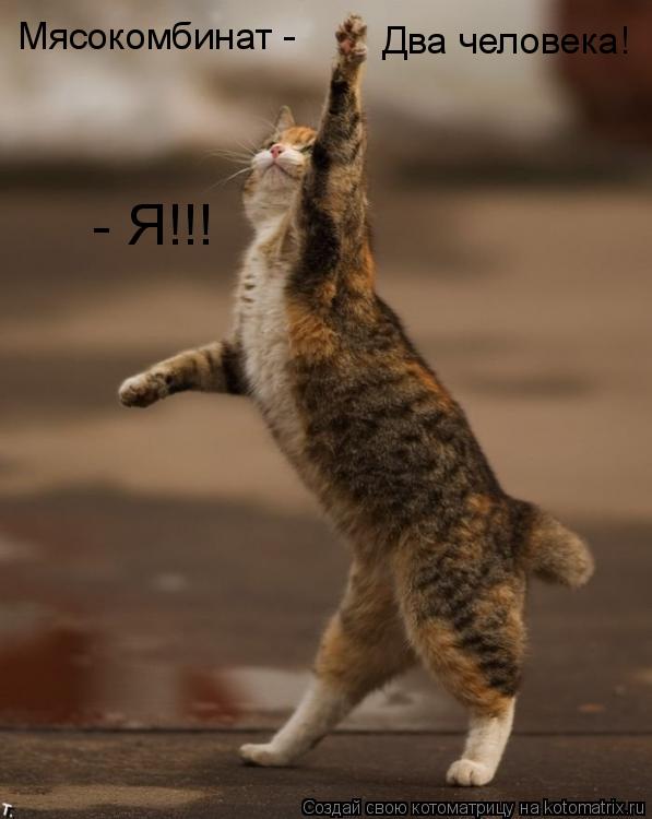 Котоматрица: Мясокомбинат - Два человека! - Я!!!