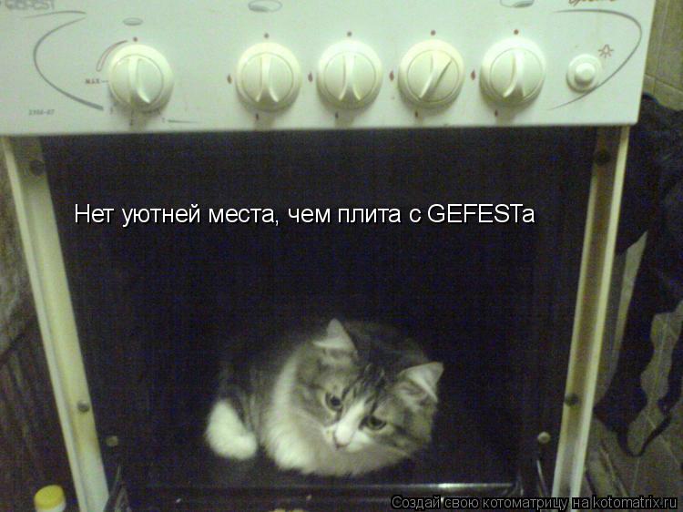Котоматрица: Нет уютней места, чем плита с GEFESTa