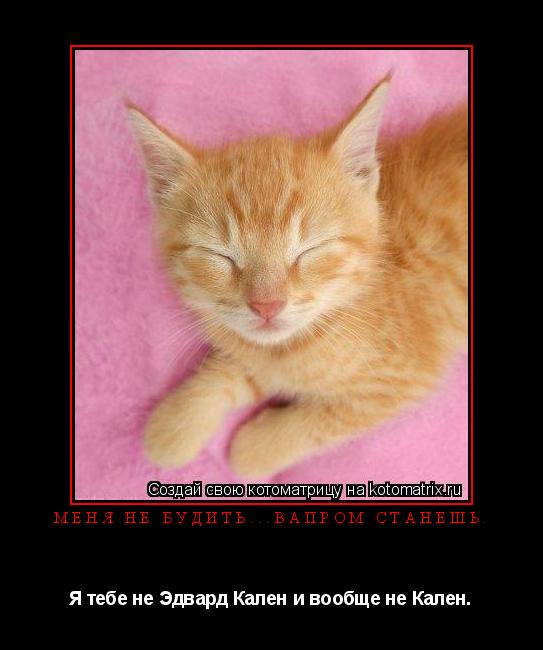 Котоматрица: Меня не будить...Вапром станешь. Я тебе не Эдвард Кален и вообще не Кален.