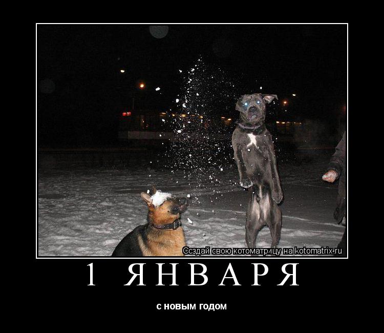 Котоматрица: 1 ЯНВАРЯ с новым годом