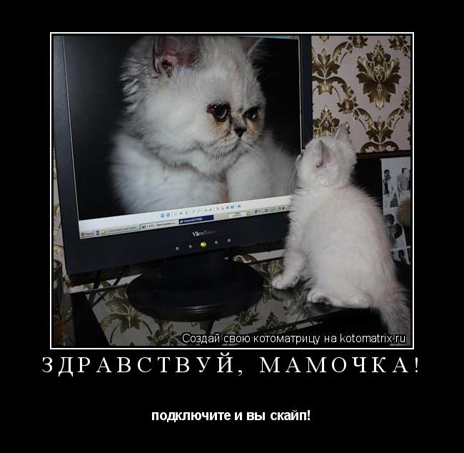 Котоматрица: Здравствуй, мамочка! подключите и вы скайп!