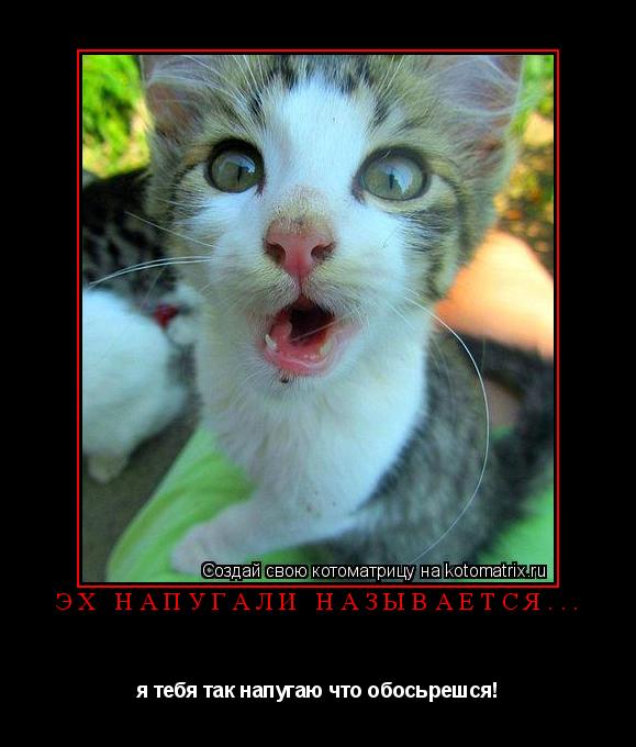 Котоматрица: эх напугали называется...  я тебя так напугаю что обосьрешся!
