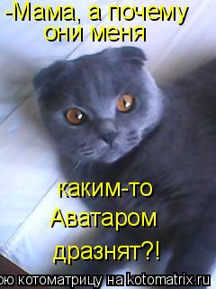 Котоматрица: -Мама, а почему  они меня каким-то  Аватаром дразнят?!