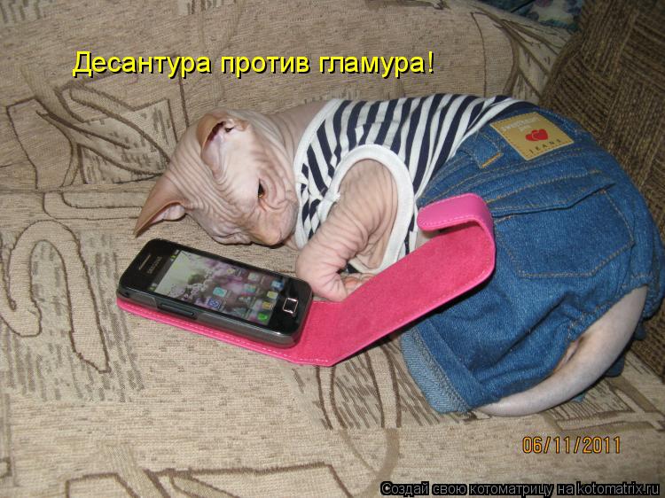 Котоматрица: Десантура против гламура!