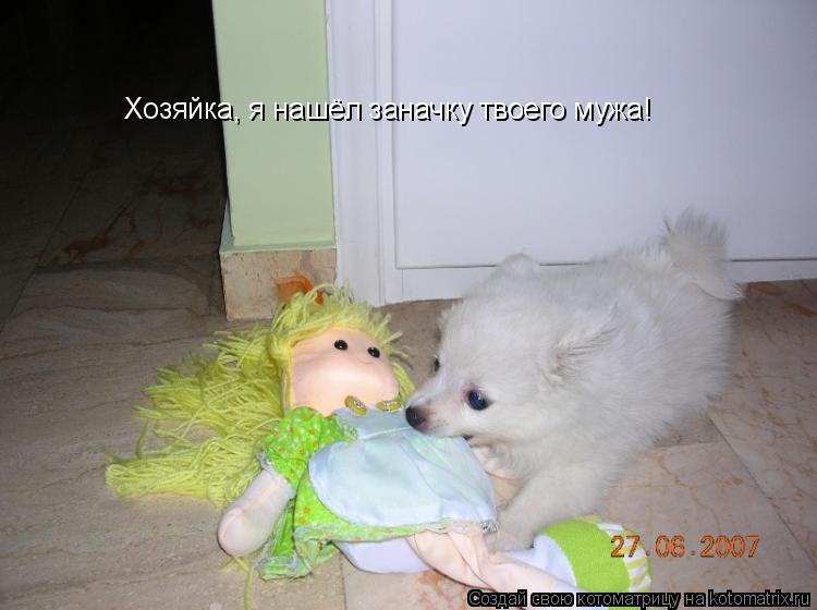 Котоматрица: Хозяйка, я нашёл заначку твоего мужа!