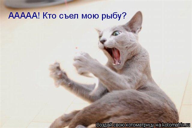 Котоматрица: ААААА! Кто съел мою рыбу?