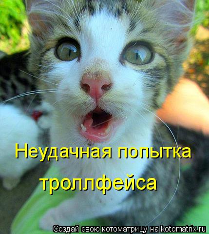 Котоматрица: Неудачная попытка троллфейса
