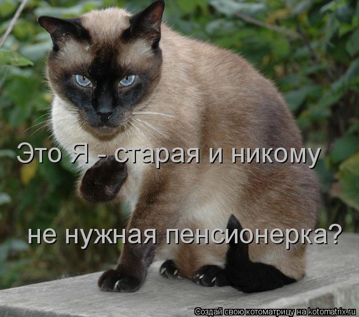 Котоматрица: Это Я - старая и никому не нужная пенсионерка?