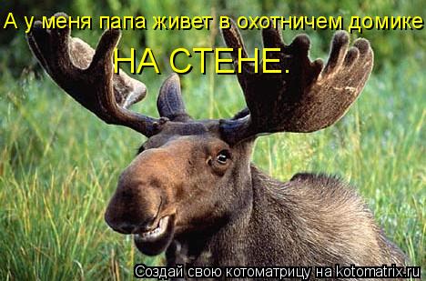 Котоматрица: А у меня папа живет в охотничем домике НА СТЕНЕ.