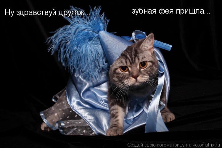 Котоматрица: Ну здравствуй дружок... зубная фея пришла...