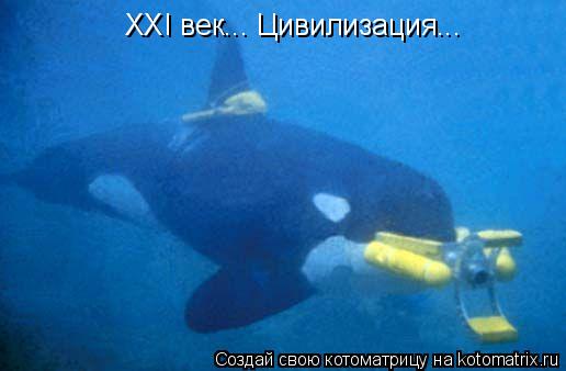 Котоматрица: XXI век... Цивилизация...