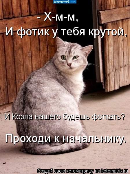 Котоматрица: - Х-м-м, И фотик у тебя крутой, И Козла нашего будешь фоткать? Проходи к начальнику.