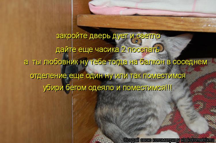 Котоматрица: закройте дверь дует и светло дайте еще часика 2 посспать а  ты любовник ну тебе тогда на балкон в соседнем отделение еще один ну или так поме