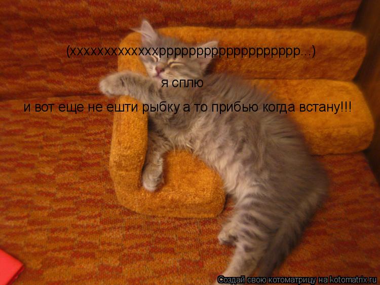 Котоматрица: (хххххххххххххррррррррррррррррррр...) я сплю и вот еще не ешти рыбку а то прибью когда встану!!!