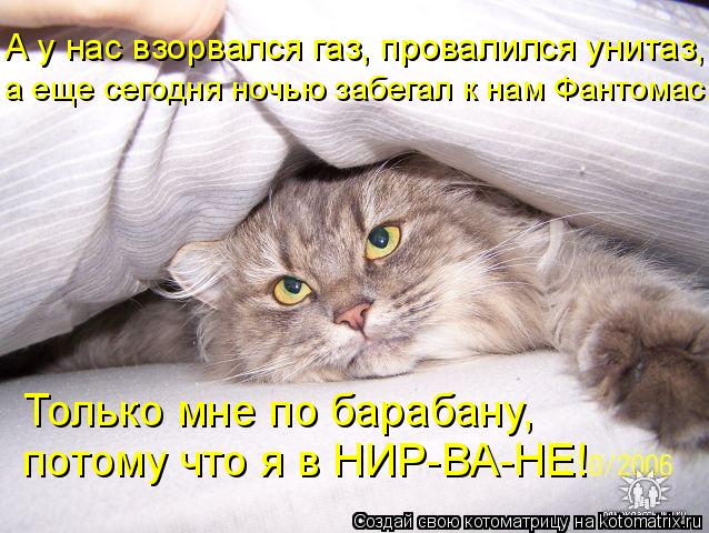Котоматрица: А у нас взорвался газ, провалился унитаз,  а еще сегодня ночью забегал к нам Фантомас, Только мне по барабану,  потому что я в НИР-ВА-НЕ!