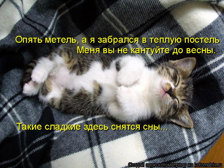 Котоматрица: Опять метель, а я забрался в теплую постель Меня вы не кантуйте до весны. Такие сладкие здесь снятся сны...