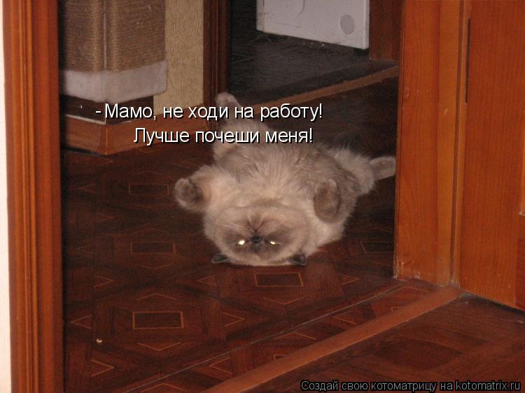 Котоматрица: Мамо, не ходи на работу!  Лучше почеши меня! -