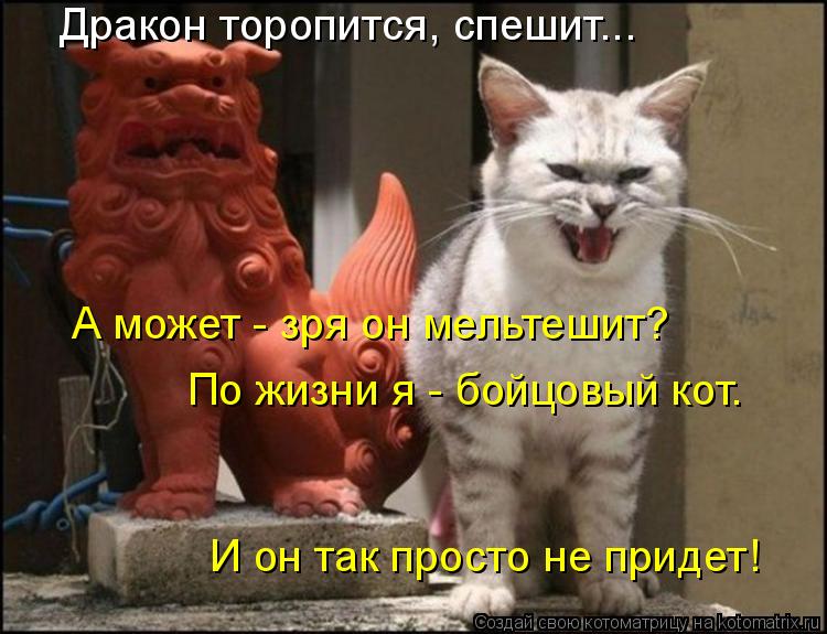Котоматрица: Дракон торопится, спешит... А может - зря он мельтешит? По жизни я - бойцовый кот. И он так просто не придет!