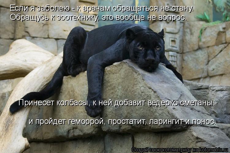 Котоматрица: Если я заболею - к врачам обращаться не стану. Обращусь к зоотехнику, это вообще не вопрос. Принесет колбасы, к ней добавит ведерко сметаны -  