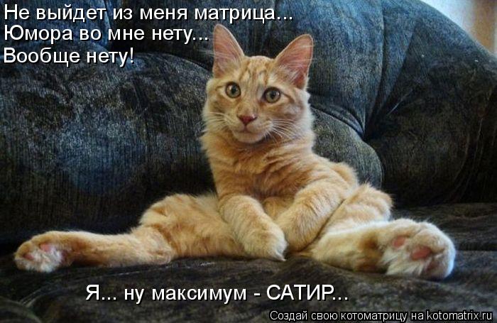 Я... ну максимум - САТИР... Не выйдет из меня матрица... Юмора во мне нету... Вообще нету!... Котоматрица: Я... ну максимум - САТИР... Не выйдет из меня матрица... Юмора во мне нету... Вообще нету!
