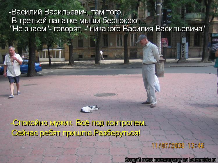 Котоматрица: "Не знаем"-,говорят, -"никакого Василия Васильевича" -Василий Васильевич, там того... -Спокойно,мужик. Всё под контролем. Сейчас ребят пришлю.Ра