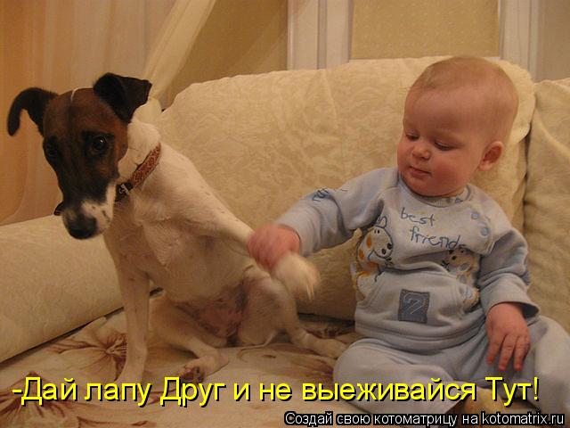 Котоматрица: -Дай лапу Друг и не выеживайся Тут!
