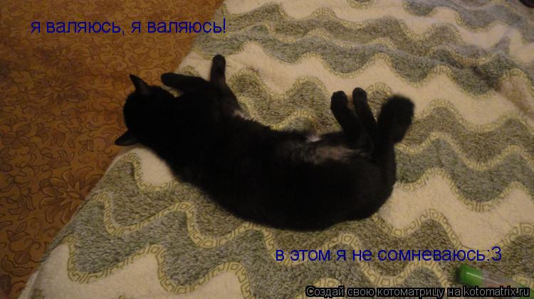 Котоматрица: я валяюсь, я валяюсь! я валяюсь, я валяюсь! в этом я не сомневаюсь:3