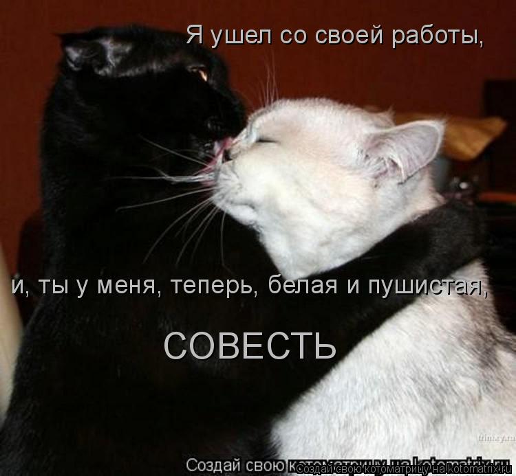Котоматрица: Я ушел со своей работы, и, ты у меня, теперь, белая и пушистая, СОВЕСТЬ
