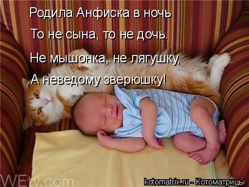 Котоматрица: Родила Анфиска в ночь То не сына, то не дочь. Не мышонка, не лягушку, А неведому зверюшку!