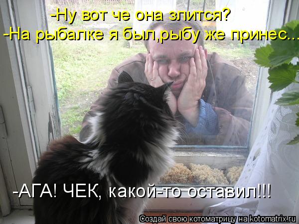 Котоматрица: -Ну вот че она злится? -На рыбалке я был,рыбу же принес... -АГА! ЧЕК, какой-то оставил!!!