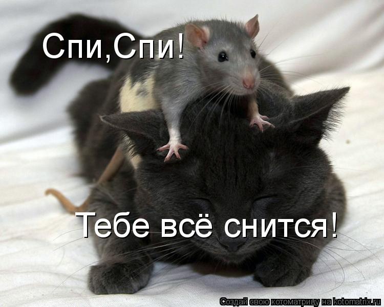 http://kotomatrix.ru/images/lolz/2011/12/17/1063809.jpg