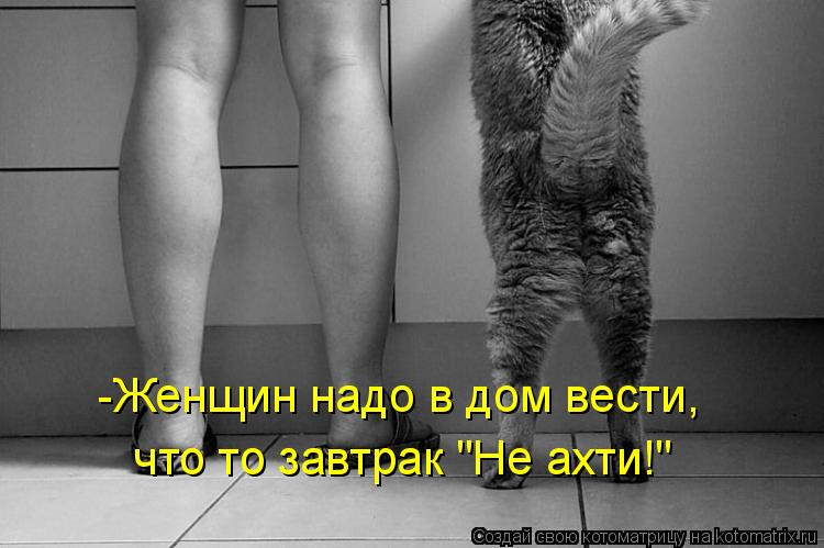 Котоматрица: -Женщин надо в дом вести, что то завтрак "Не ахти!"