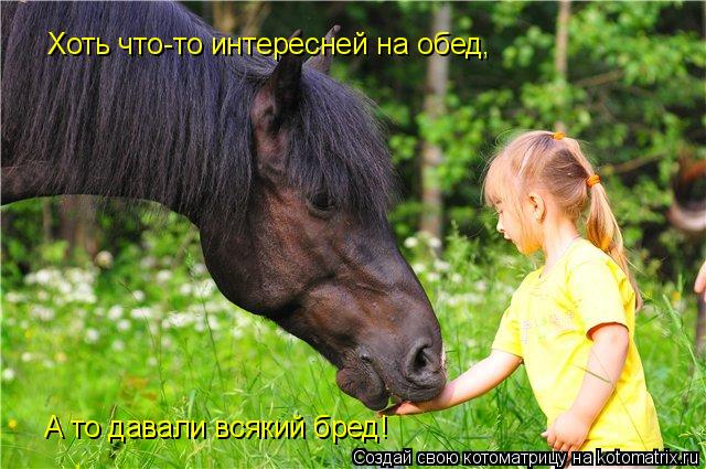 Котоматрица: Хоть что-то интересней на обед, А то давали всякий бред!