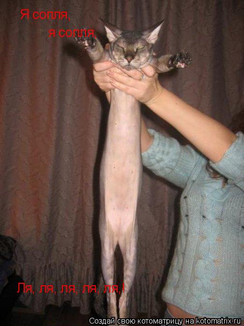 Котоматрица: Я сопля, я сопля, Ля, ля, ля, ля, ля,!