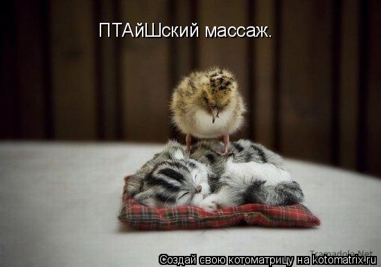 Котоматрица: ПТАйШский массаж.